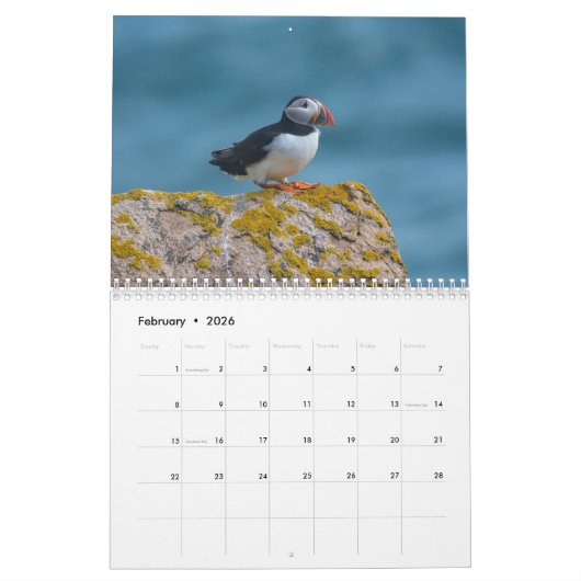 Puffin Wall Agenda Kalender (Feb 2026)