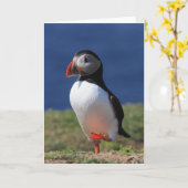 Puffin Wenskaarten Kaart (Gele Bloem)