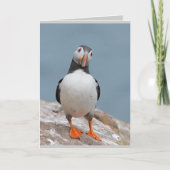 Puffin Wenskaarten Kaart (Voorkant)