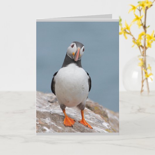 Puffin Wenskaarten Kaart (Gele Bloem)