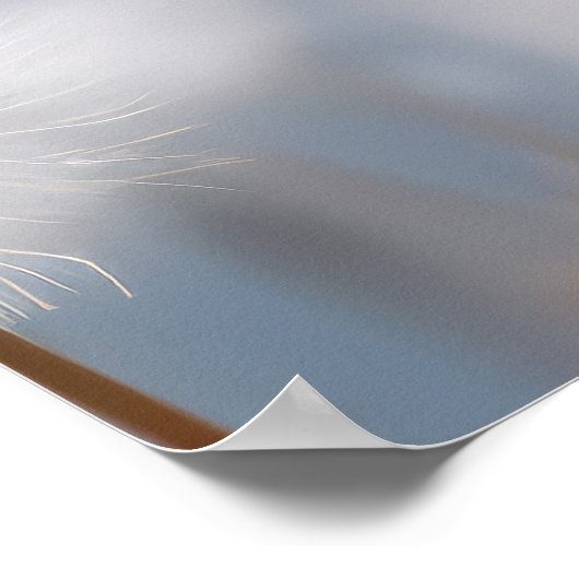 Puffin Wilde Vogel Dier Rustig Vreedzaam Poster (Hoek)