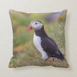 Puffinkussen Kussen