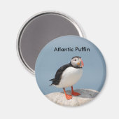 Puffinmagneet Magneet (Voorkant / Achterkant)