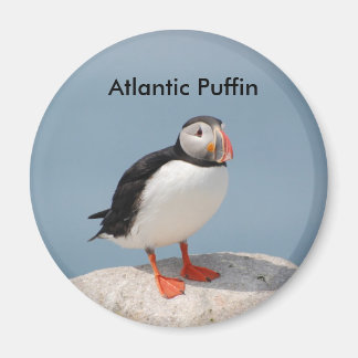 Puffinmagneet Magneet