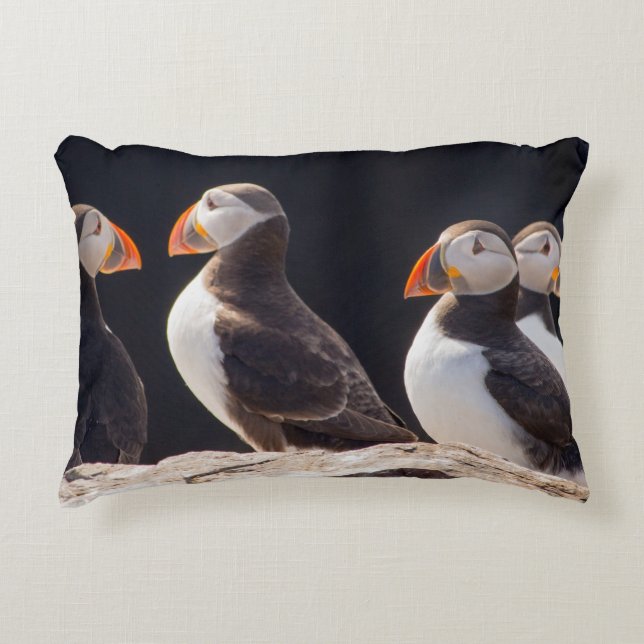 Puffins Accent Kussen (Voorkant)