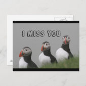 Puffins briefkaart (Voorkant / Achterkant)