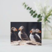 Puffins Briefkaart (Staand voorkant)