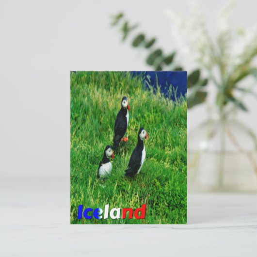 Puffins Briefkaart (Staand voorkant)