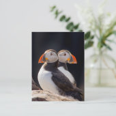 Puffins Briefkaart (Staand voorkant)