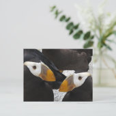 Puffins... Briefkaart (Staand voorkant)