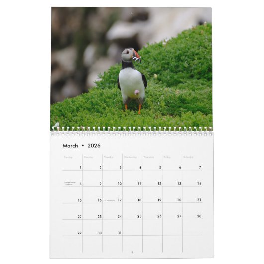 Puffins Calendar Kalender (Mar 2026)