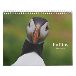 Puffins Calendar Kalender