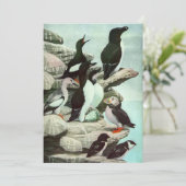  Puffins en watervogels van Louis Fuertes (Staand voorkant)