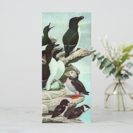  Puffins en watervogels van Louis Fuertes (Staand voorkant)