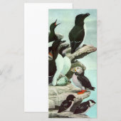 Puffins en watervogels van Louis Fuertes (Voorkant / Achterkant)