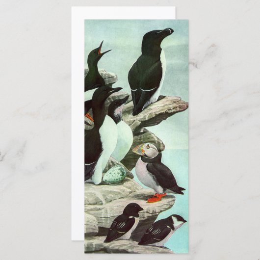 Puffins en watervogels van Louis Fuertes (Voorkant / Achterkant)