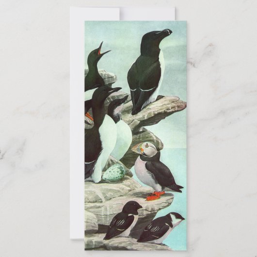 Puffins en watervogels van Louis Fuertes (Voorkant)