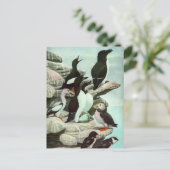  Puffins en watervogels van Louis Fuertes Briefkaart (Staand voorkant)