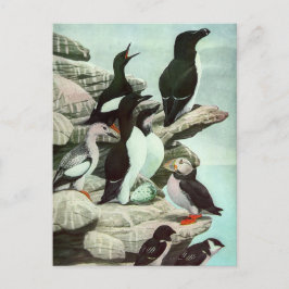  Puffins en watervogels van Louis Fuertes Briefkaart