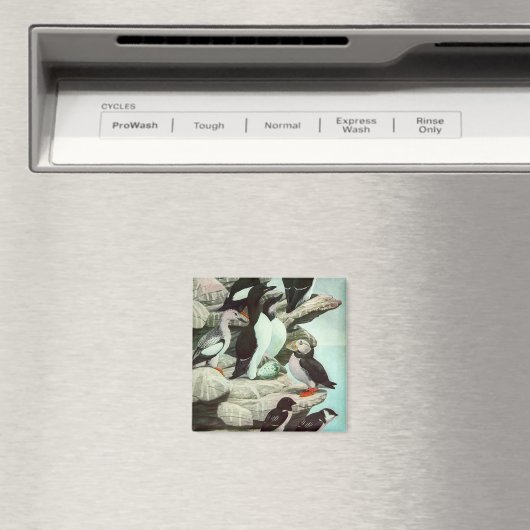  Puffins en watervogels van Louis Fuertes Magneet (Insitu (Vaatwasser))