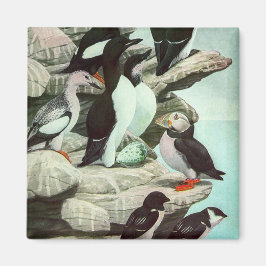  Puffins en watervogels van Louis Fuertes Magneet