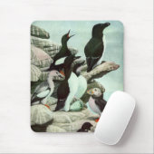 Puffins en watervogels van Louis Fuertes Muismat (Met muis)