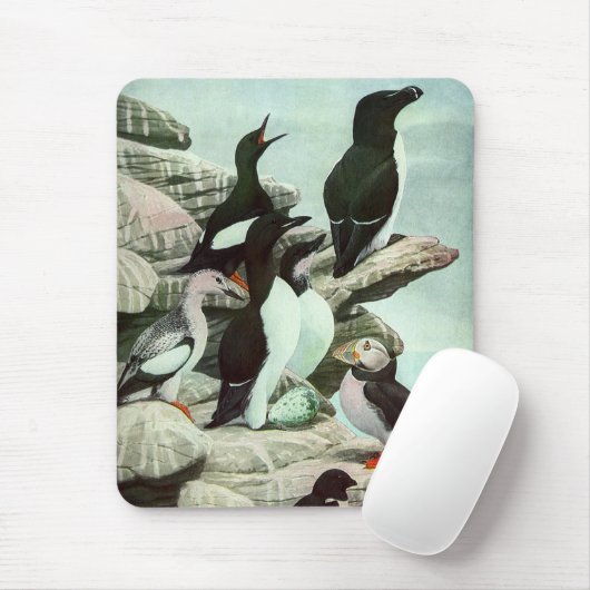 Puffins en watervogels van Louis Fuertes Muismat (Met muis)