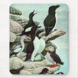  Puffins en watervogels van Louis Fuertes Muismat
