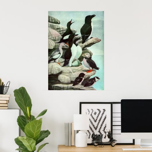 Puffins en watervogels van Louis Fuertes Poster (Thuiskantoor)