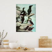  Puffins en watervogels van Louis Fuertes Poster (Keuken)