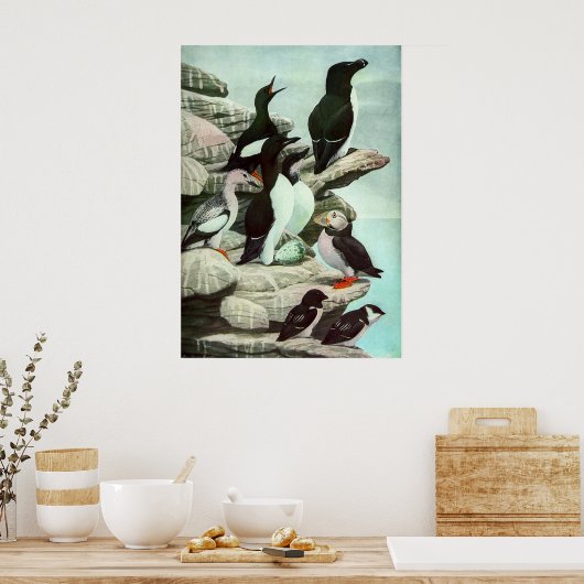  Puffins en watervogels van Louis Fuertes Poster (Keuken)