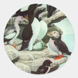  Puffins en watervogels van Louis Fuertes Ronde Sticker