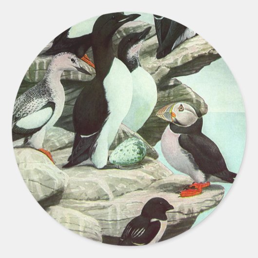 Puffins en watervogels van Louis Fuertes Ronde Sticker (Voorkant)