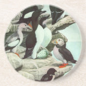  Puffins en watervogels van Louis Fuertes Zandsteen Onderzetter (Voorkant)