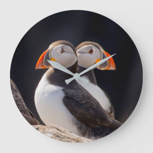 Puffins Grote Klok