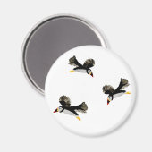 Puffins in de lucht magneet (Voorkant / Achterkant)