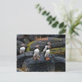 Puffins in the Rain in Iceland Briefkaart (Staand voorkant)