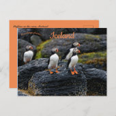 Puffins in the Rain in Iceland Briefkaart (Voorkant / Achterkant)