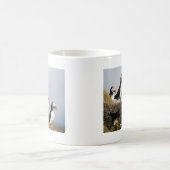 Puffins Koffiemok (Center)