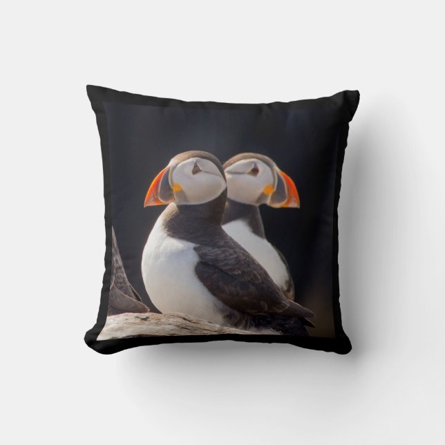 Puffins Kussen (Voorkant)