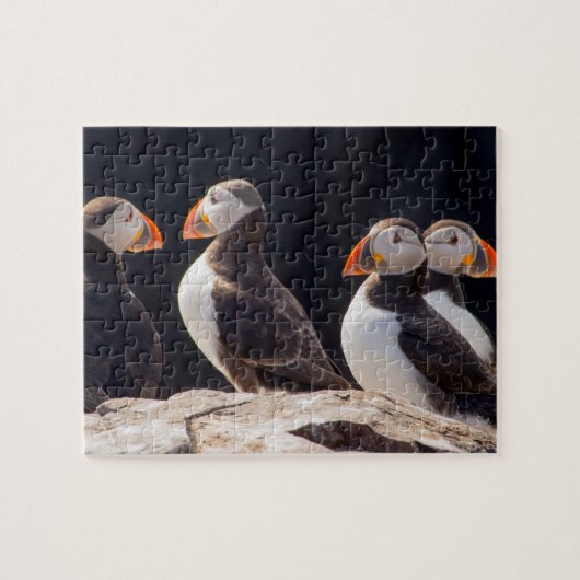 Puffins Legpuzzel (Horizontaal)