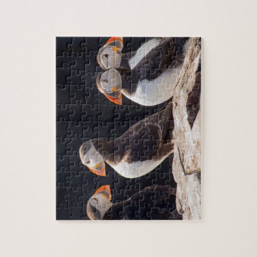 Puffins Legpuzzel (Verticaal)