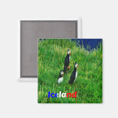 Puffins Magneet (Voorkant / Achterkant)