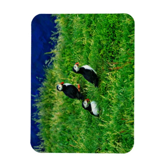 Puffins Magneet (Verticaal)