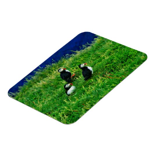 Puffins Magneet (Linkerzijde)