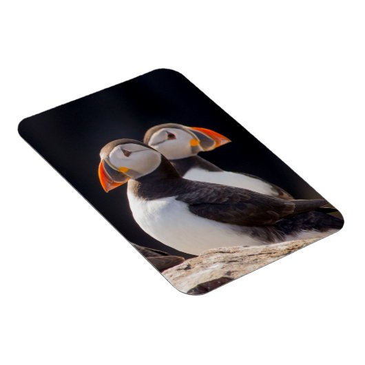 Puffins Magneet (Rechterzijde)