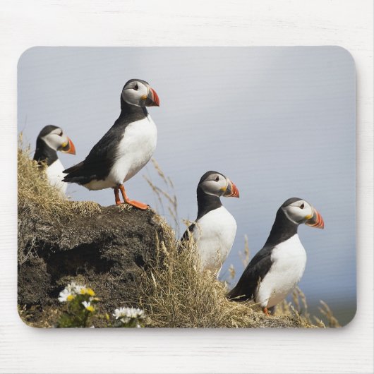Puffins Muismat (Voorkant)