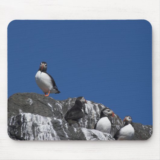 Puffins Muismat (Voorkant)