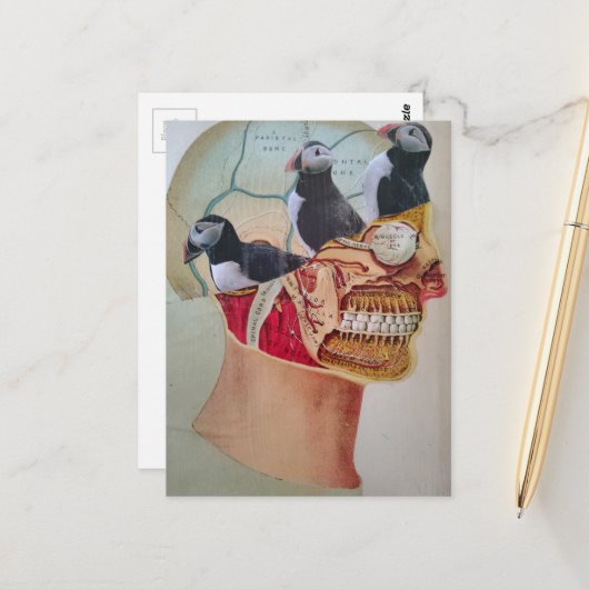 Puffins on the Brain Surreal mixed media collage Briefkaart (Voorkant / Achterkant in situ)