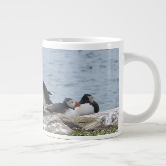 Puffins op de Faeröer Grote Koffiekop (Rechts)